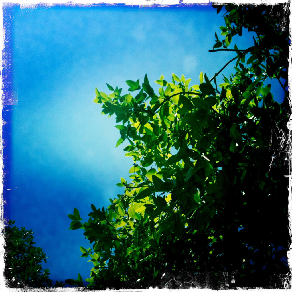 Chouette, c’est week-end ….