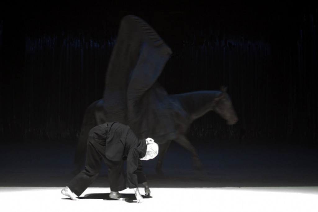 Le Centaure et l'animal Bartabas / Grand Theâtre de Provence