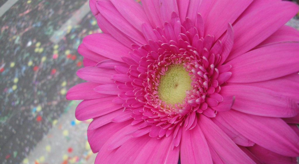 Et si on se jettait des fleurs !