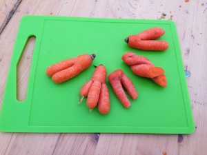 Des carottes mutantes