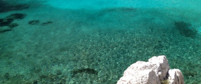 Plongée en eaux claires – Snorkeling dans les calanques