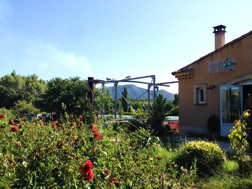 Distillerie Moulin St Vincent - Jouques