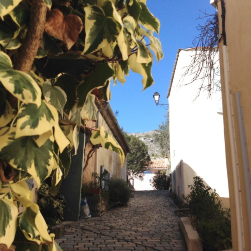 Puyloubier, la colline aux loups – Secrets d’ici