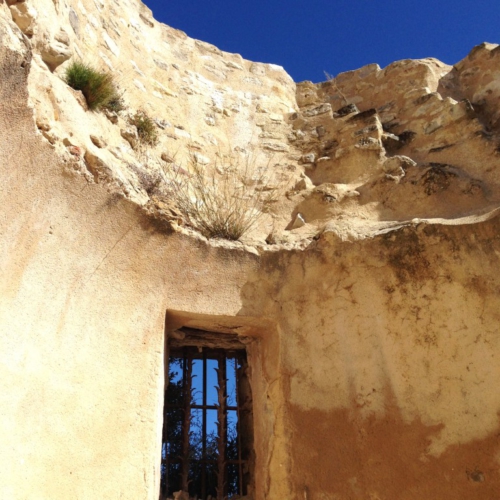 Puyloubier, la colline aux loups – Secrets d’ici