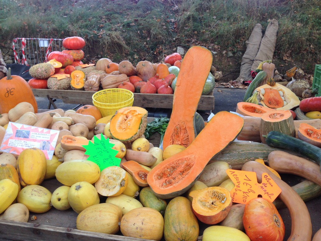 Des courges, des courges et encore des courges ! C’est la fête de la courge à Rians !