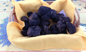 Marché de la truffe de Rognes - Provence