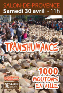 Transhumance Salon de Provence