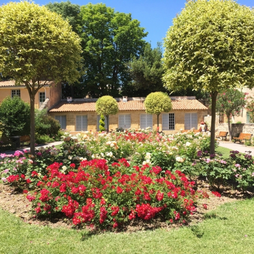 En Vadrouille #2 avec un poisson Marcel et ma Cigale est fantastique - Aix en Provence