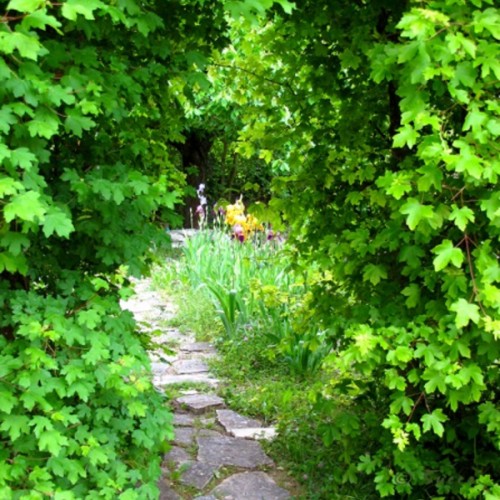 Le jardin sauvage de Cabries