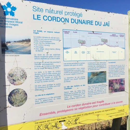 le cordon dunaire du Jaï Marignane