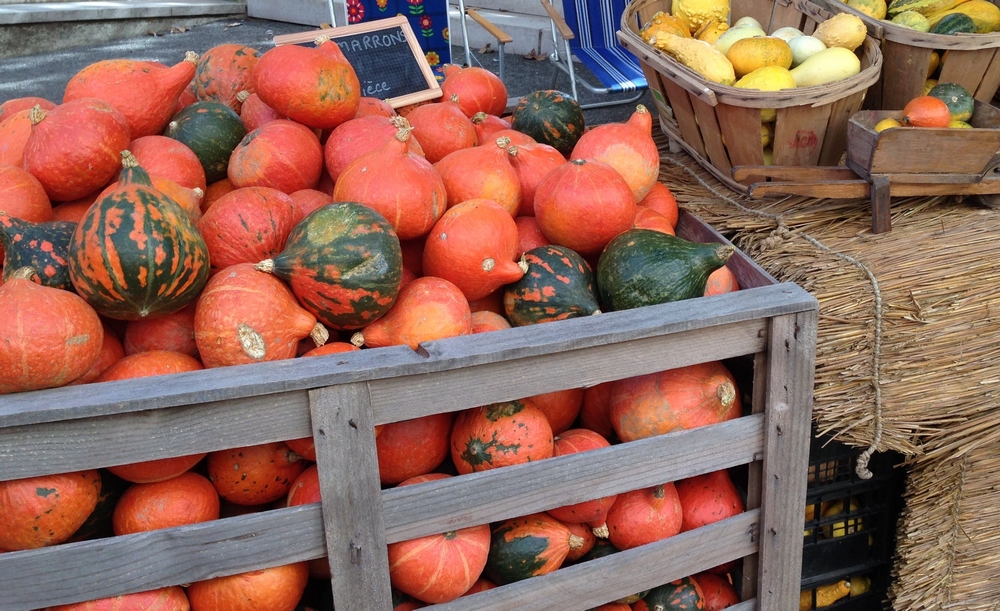 Fête de la courge Rians