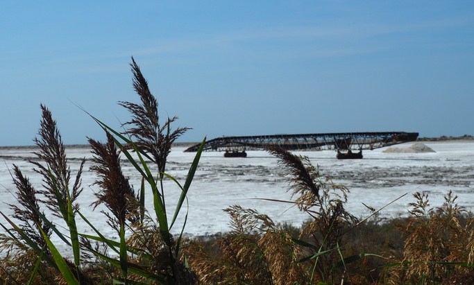 Marais salants - Les Salins de Giraud - Parc Naturel Régional de Camargue