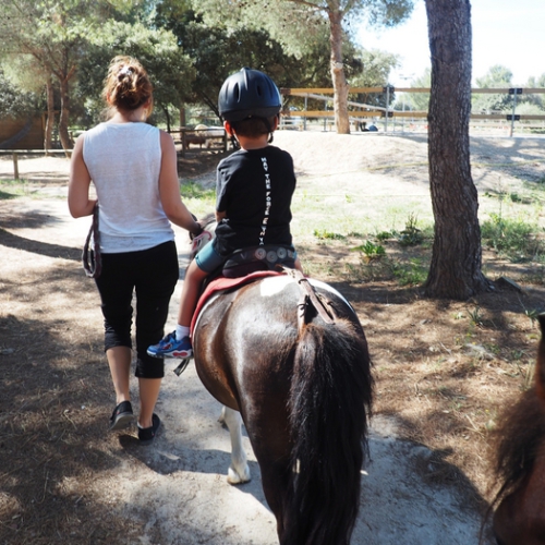 Poney club - Parc de Figuerolles - Martigues