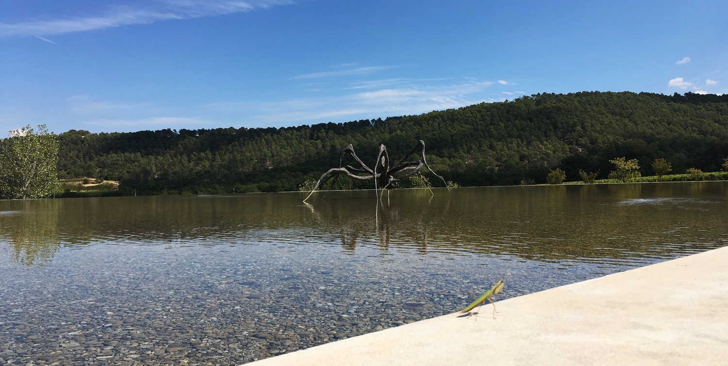 Crouching Spider - Louise Bourgeois - Château La Coste -