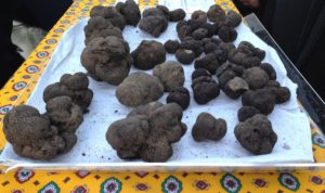 Truffes provençales