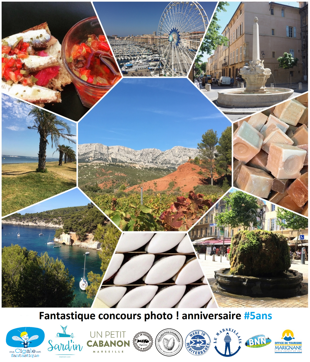 Concours photo ma cigale est fantastique 5 ans - Le Meilleur de la Provence