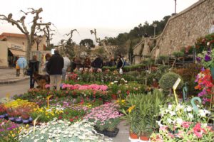 Fête des plantes et des fleurs Allauch