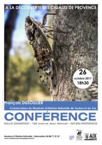 Conférence - Les cigales de Provence