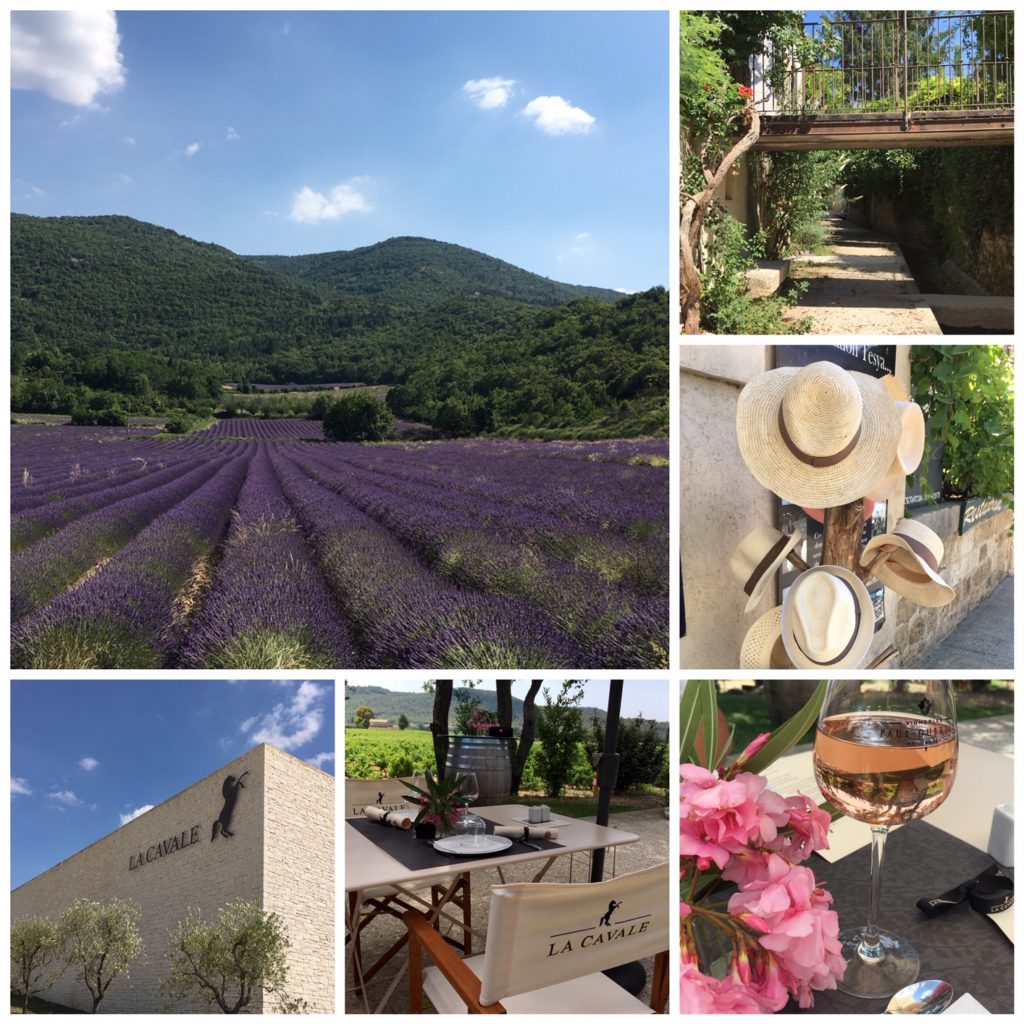 Sur la route de la lavande - Balade en Luberon - Lourmarin a Cavale