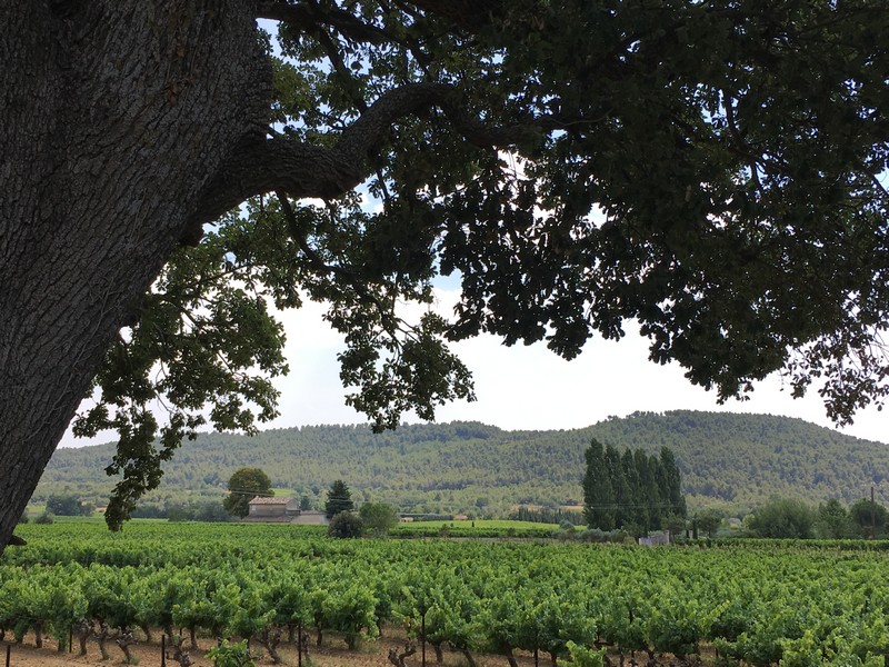 Brunch à La Cavale - Domaine viticole - Luberon