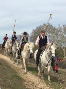 Fete du Cheval Calas Cabries Benediction procession