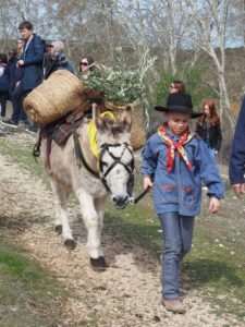 Fete du Cheval Calas Cabries Benediction procession petit âne folklore provençal