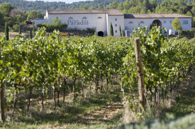 Pâques en vigne au Château Paradis