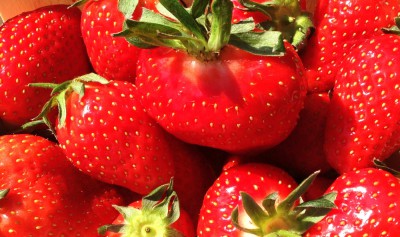 Sucrées ….les fraises !