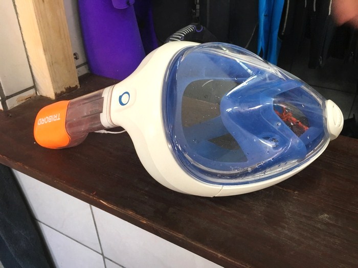 masque integral snorkeling
