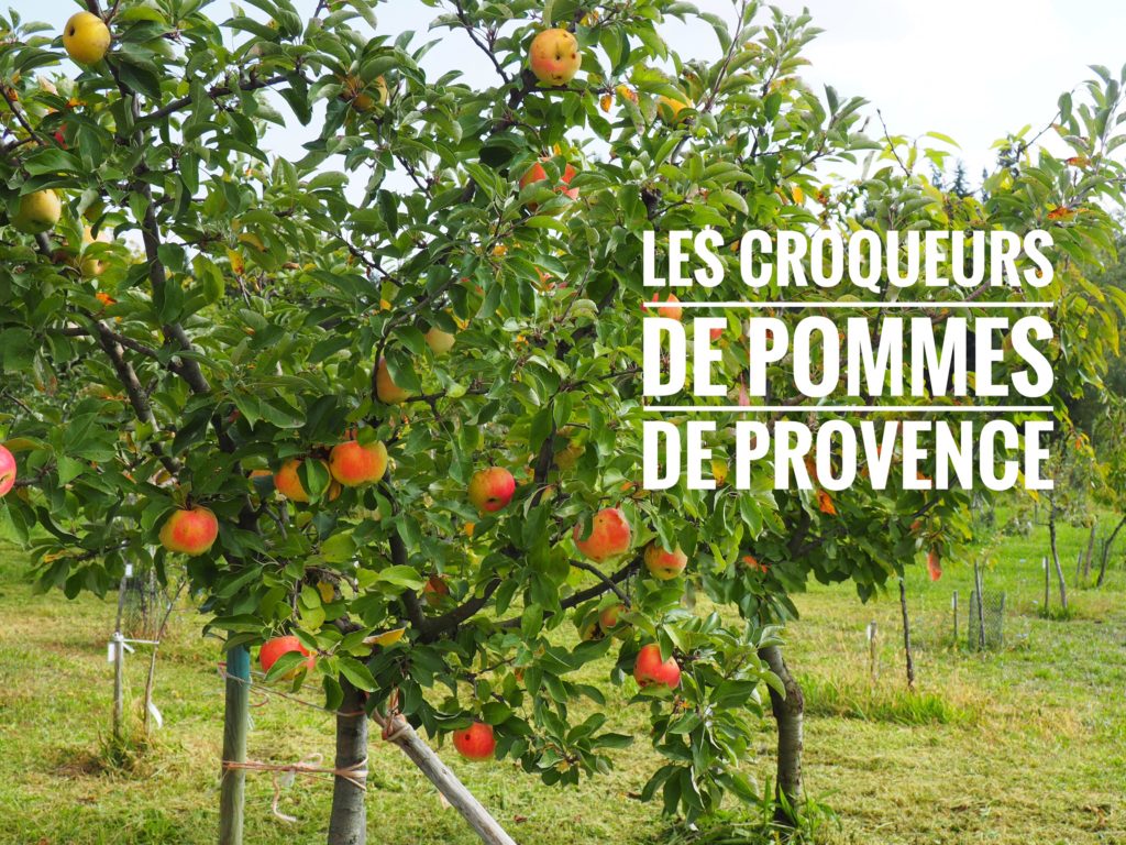 Espèces de vieilles poires ! 🍎 🍐 Les Croqueurs de pommes en Provence 🍎 🍐