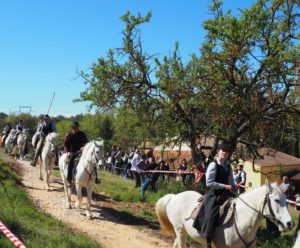 Fête du cheval Calas